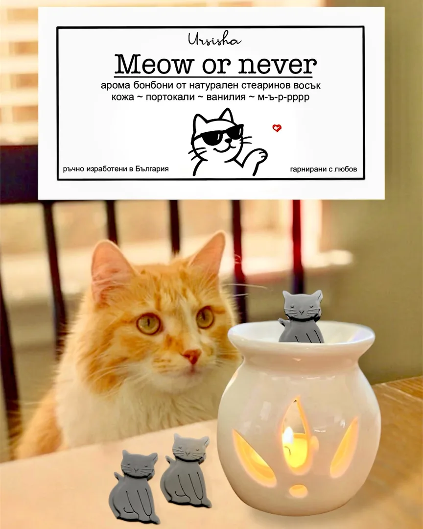Арома бонбони Meow or Never с арома лампа и коте